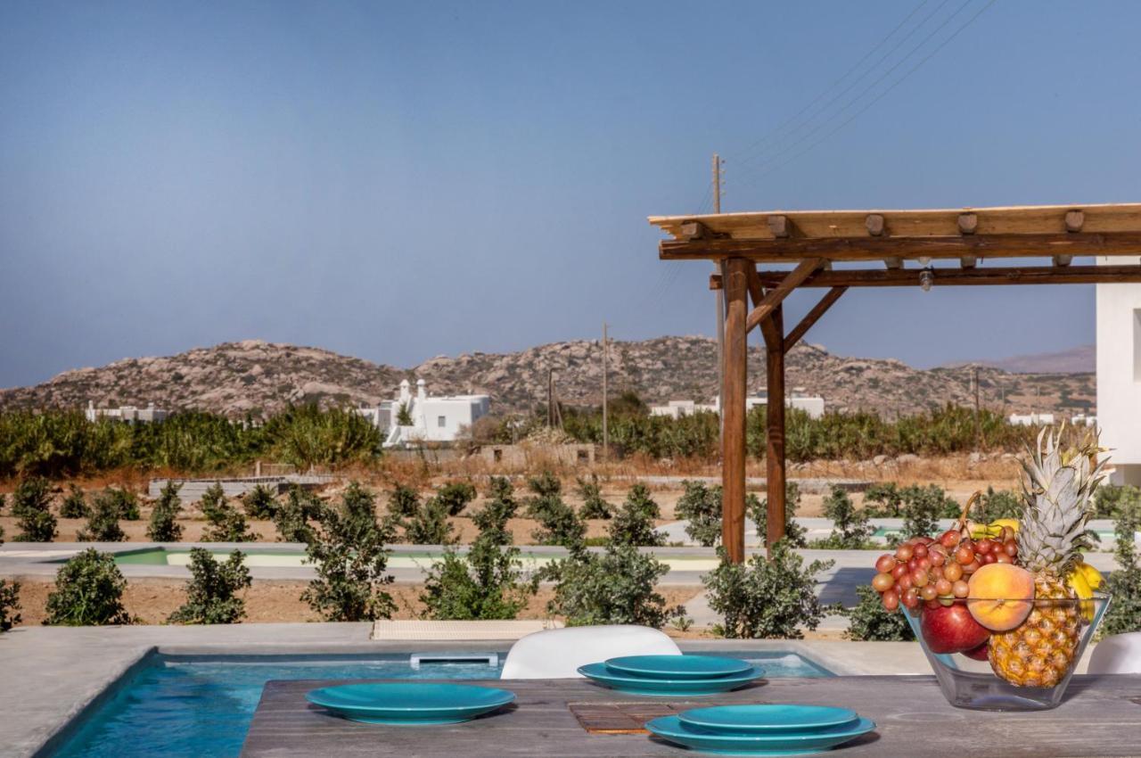 מיקרי ויגלה Bamboo Villa Naxos מראה חיצוני תמונה